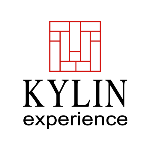 Kylin Experience